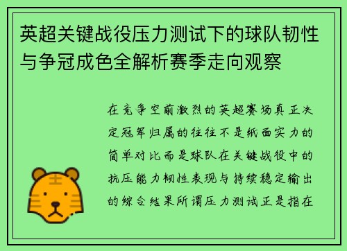 英超关键战役压力测试下的球队韧性与争冠成色全解析赛季走向观察